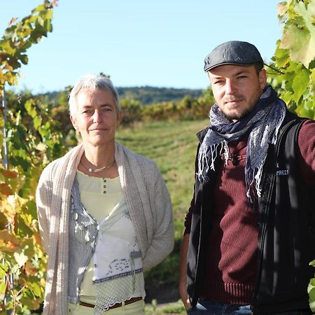 Sylvie Fahrer Et Fils Bed & Breakfast Saint-Hippolyte  Bagian luar foto