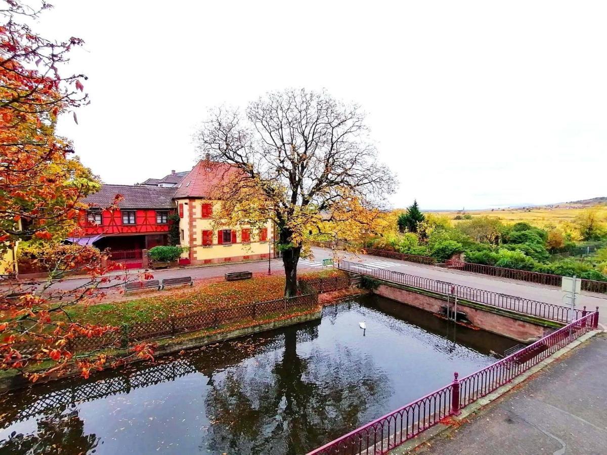 Sylvie Fahrer Et Fils Bed & Breakfast Saint-Hippolyte  Bagian luar foto